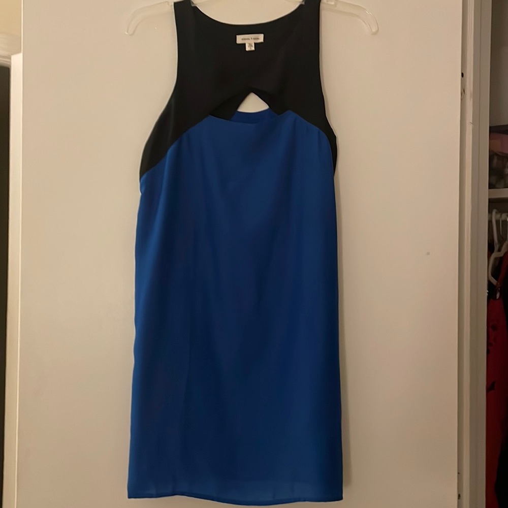 Urban Outfitters (Silence + Noise) Mini Dress